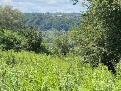 Janowice - 1,18 ha las i pastwiska 69 000 zł