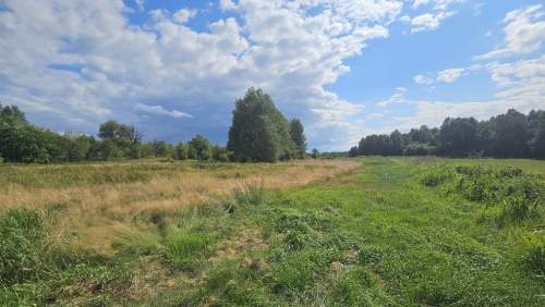 Działka,Luta, Włodawa, 1,5 ha, budowlana, urokliwa