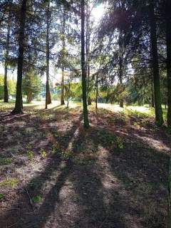 DZIAŁKA Z LINIĄ BRZEGOWĄ MOŁDZIE GMINA EŁK