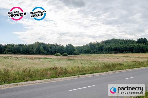 Wjazd S6 - 100m Max 60% zabudowy 25m wysokości