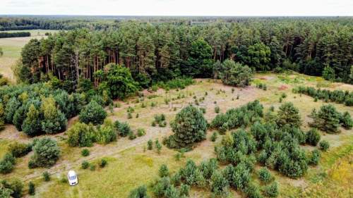 Wymarzony dom w naturze działka w okazyjnej ceni