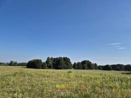 Siedlisko na sprzedaż