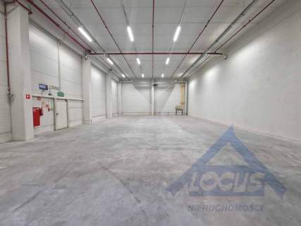 Magazyn wysokiego składowania 2500m2 Ołtarzew