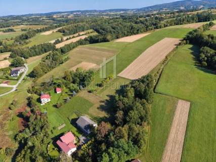 PRZESTRONNY DOM Z ROZLEGŁĄ, WIDOKOWĄ DZIAŁKĄ, 2,17HA, ŚWIĘ