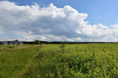 Działka inwestycyjna 81.7a w Krasne