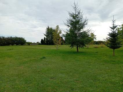 Działa 5000m2