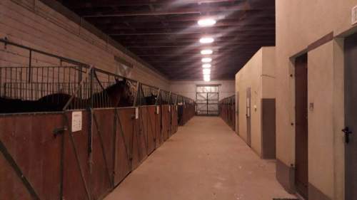 Obiekt na sprzedaż, 43000 m2, Bodzanów