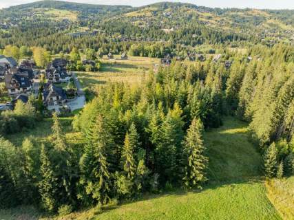 Działka Rolno-Leśna 2784 m Kościelisko Gronik