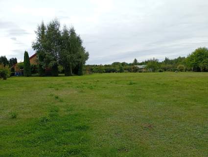 Działa 5000m2
