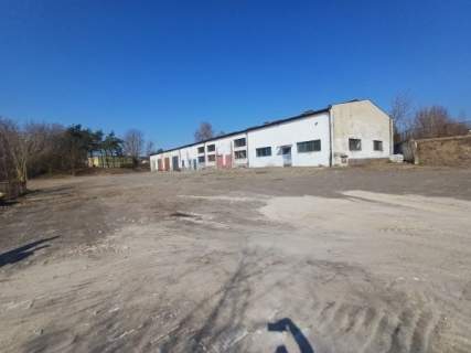 Lokal użytkowy na sprzedaż, 1200 m2, Włodawa