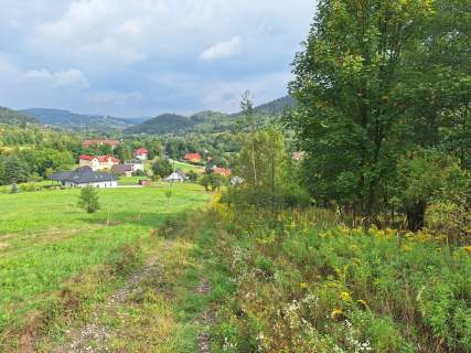 Działka budowlana 2100 m z potencjałem   Jaszczurowa, gm. Much
