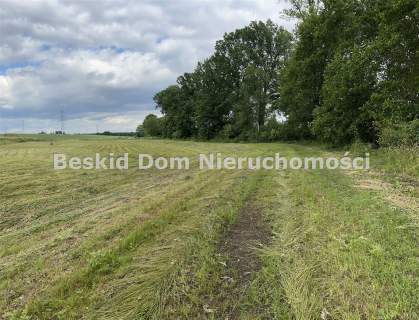 Działka inwestycyjna na sprzedaż, 12600 m2, Międzyrzecze Dolne