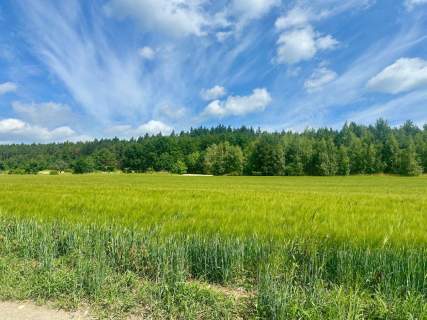 Złoty Widok na Twoją Przyszłość 1800 m2 Słupice