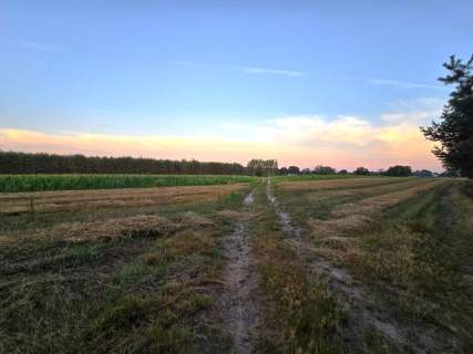 Siedlisko z lasem, Stanisławów Duży, gm. Kamionka