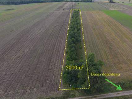 Działka rolna na sprzedaż, 5000 m2, Białogórzyno