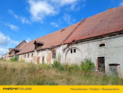 Ruiny Willi i Pałacu w Starej Kraśnicy 2,8 ha