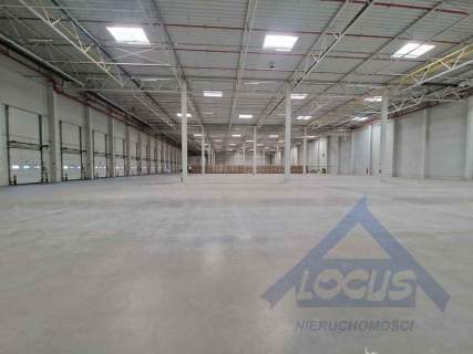 Magazyn wysokiego składowania 2500m2 Ołtarzew