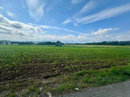 Złoty Widok na Twoją Przyszłość 1800 m2 Słupice