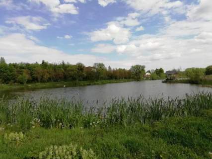 Działka o pow. 4,6 ha w Klementowicach gm. Kurów.
