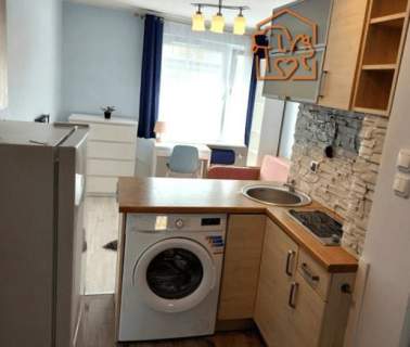 Studio, komórka, pet-friendly - Herberta 2