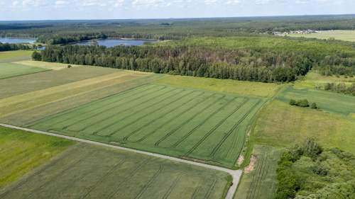 Działka rolna Hadra 4,6440 ha