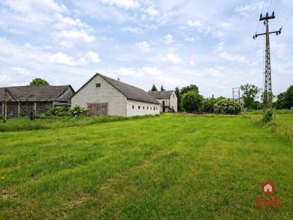Siedlisko 0,6 ha, gm. Brańsk