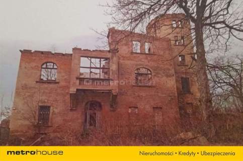 Ruiny Willi i Pałacu w Starej Kraśnicy 2,8 ha