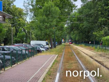 Lokal 75 m na wynajem przy Błoniach prestiż, ruch i świetna...