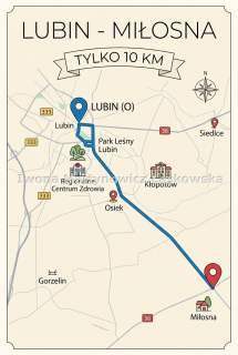 Luksusowy dom koło Lubina, 15 ar działka