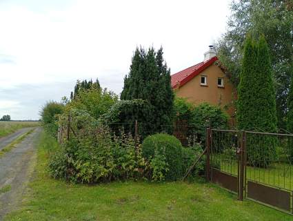 Działa 5000m2