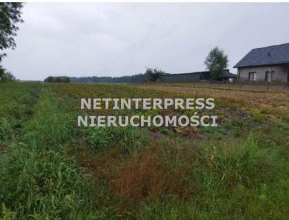 Tarłów-sprzedaż działki we wsi Brzozowa