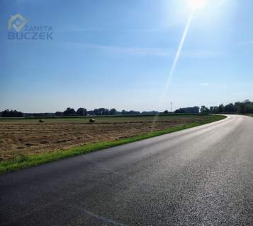 Sprzedam ziemię rolną 9,867 ha w Januszewie