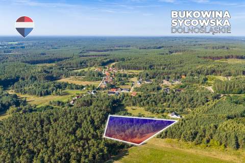 Działka leśna pow. 29.600 m , Bukowina Sycowska