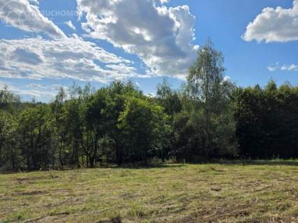 46 ARÓW W TUCHOWIE - BLISKO LASU, BLISKO MIASTA 