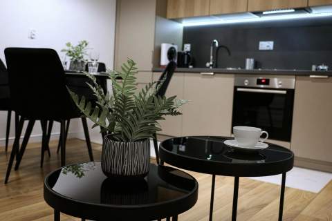 Nowoczesny Apartament z klimatyzacją i dużym balkonem