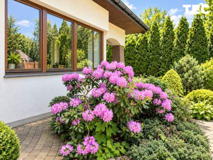 Dom wolnostojący na sprzedaż w Cholerzynie 215m2