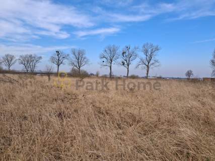 Atrakcyjna działka budowlana w Bełchatowie