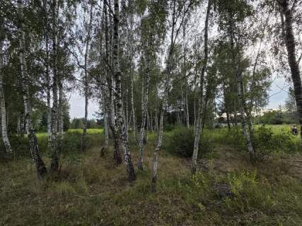 Piękna z drzewami, prądem, wodą i MPZP