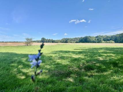 Działka 1900m2 w wyjątkowym miejscu