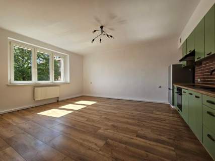 Mieszkanie na sprzedaż, 49,7 m2, Bytom