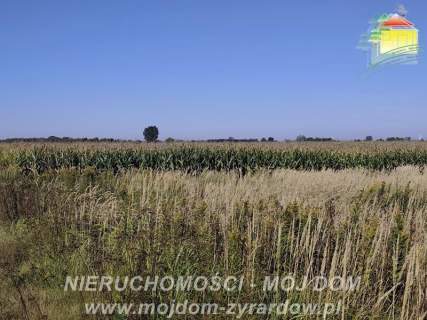 Działka rolna w atrakcyjnej cenie, Kamionka.