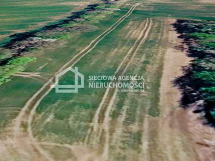 Działka rolna 3000 m2 Bychowo/Gniewino