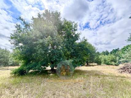 Piękna, duża działka ok. 1500m2 w otulinie KPN