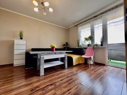 Mieszkanie do wynajęcia, 34,3 m2, Szczecin