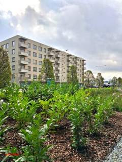 Nowe 3 pokoje z balkonem