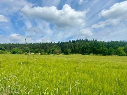 Złoty Widok na Twoją Przyszłość 1800 m2 Słupice