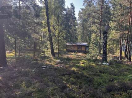 Leśna działka na Wydmach Międzyborowskich 2221 m2 - bez prowizji