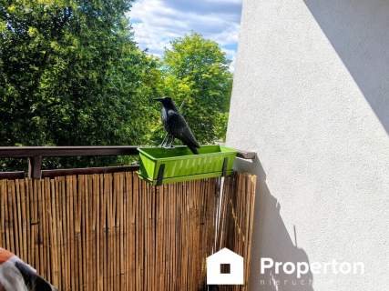 Sosnowiec Zagorze , 2 pokojowe mieszkanie, 43m2