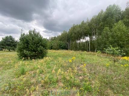 Działka budowlana w Gołąbku 1514m