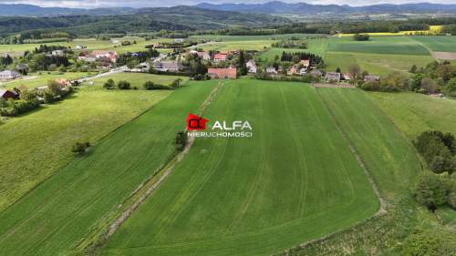 Działka budowlana na sprzedaż, 3000 m2, Modliszów